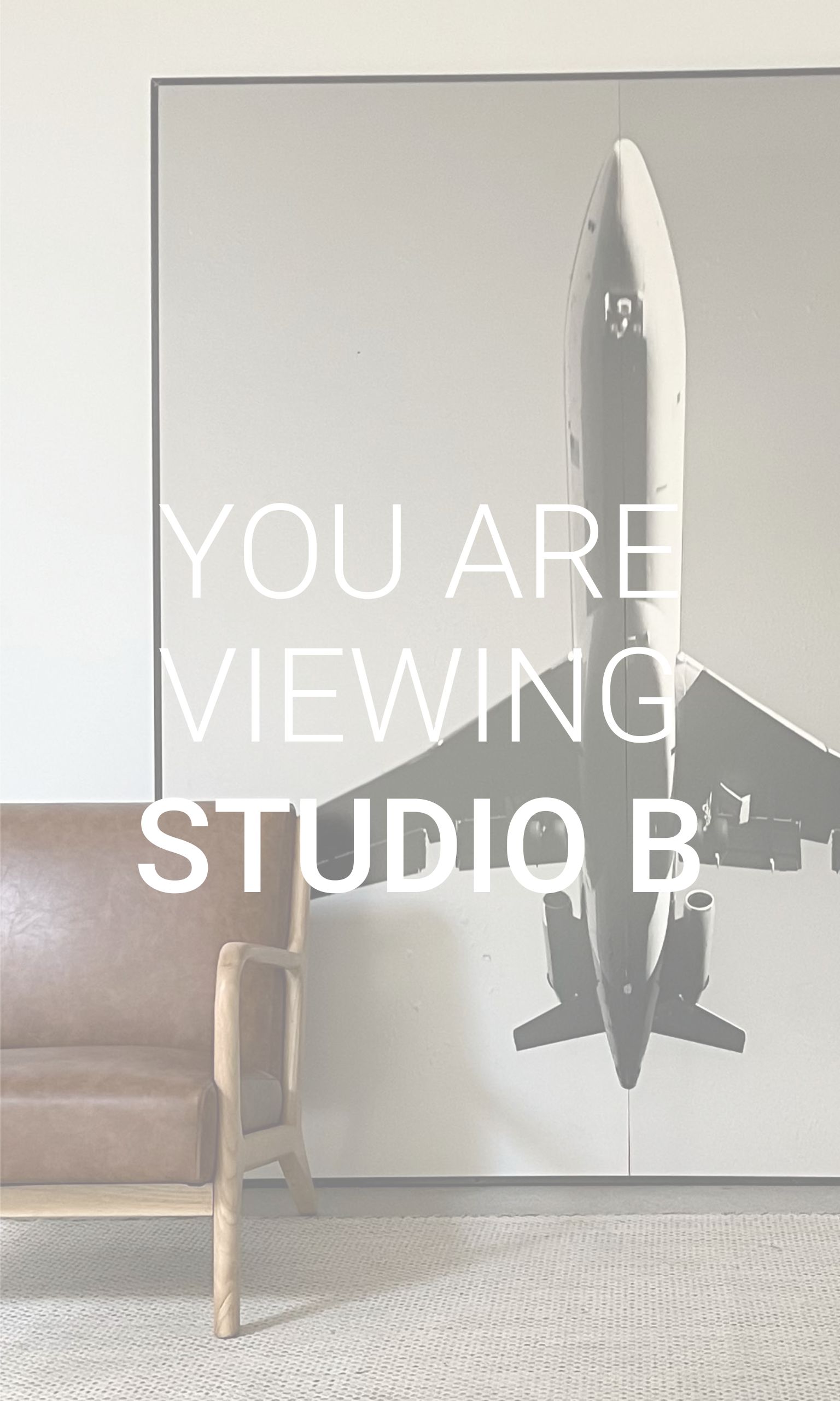Viewing B